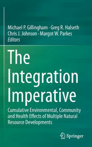 Kniha Integration Imperative Michael Gillingham