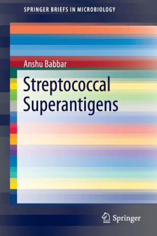 Könyv Streptococcal Superantigens Anshu Babbar