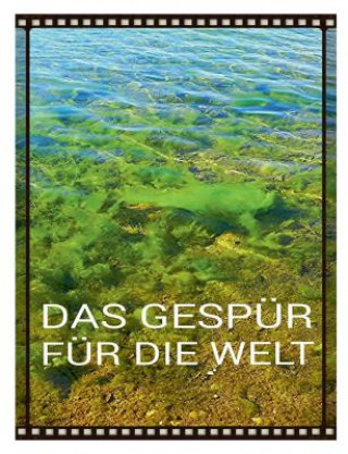 Buch Gespur fur die Welt Tomithy Holeapple