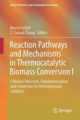 Carte Reaction Pathways and Mechanisms in Thermocatalytic Biomass Conversion I Marcel Schlaf