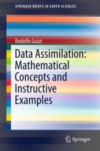 Könyv Data Assimilation: Mathematical Concepts and Instructive Examples Rodolfo Guzzi