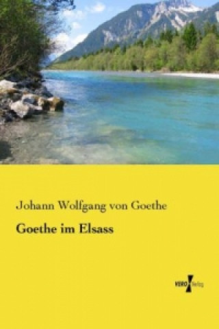 Book Goethe im Elsass Johann Wolfgang von Goethe