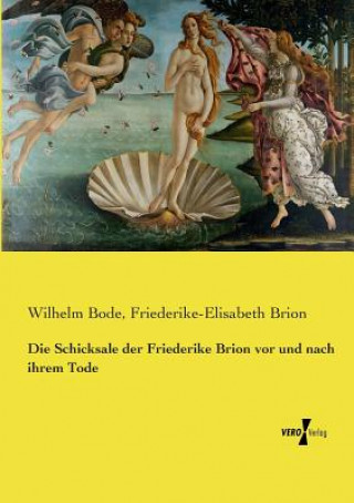 Livre Schicksale der Friederike Brion vor und nach ihrem Tode Wilhelm Bode