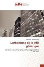 Carte L'Urbanisme de la Ville Generique de Mesanstourne-C