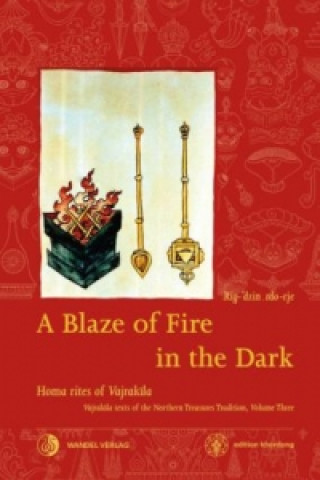 Kniha A Blaze of Fire in the Dark Rig-'dzin rdo-rje (Martin J Boord)