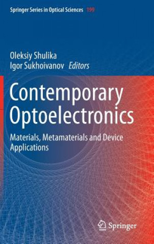 Könyv Contemporary Optoelectronics Oleksiy Shulika