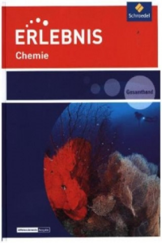 Książka Erlebnis Chemie - Ausgabe 2016 für Rheinland-Pfalz Horst-Dietmar Kirks