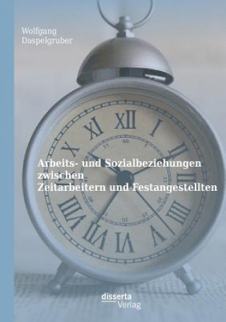 Kniha Arbeits- und Sozialbeziehungen zwischen Zeitarbeitern und Festangestellten Wolfgang Daspelgruber
