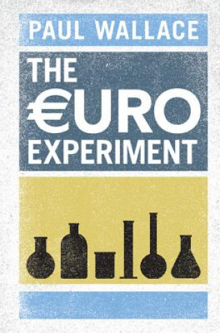 Buch Euro Experiment Paul Wallace