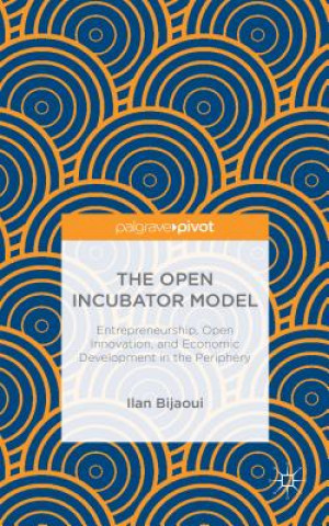 Книга Open Incubator Model Ilan Bijaoui