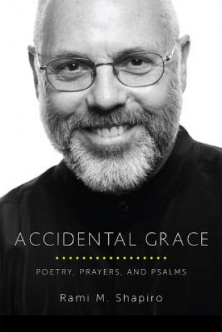 Kniha Accidental Grace Rami Shapiro