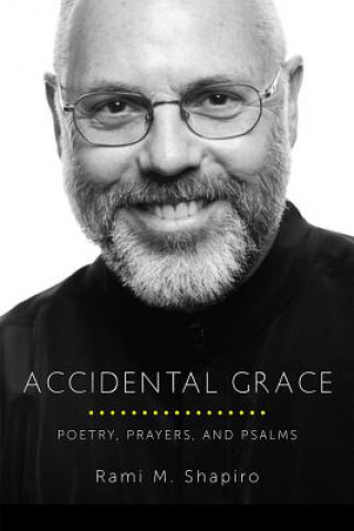 Livre Accidental Grace Rami Shapiro