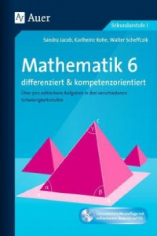 Könyv Mathematik 6 differenziert u. kompetenzorientiert, m. 1 CD-ROM Sandra Jacob