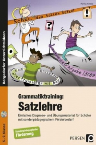 Buch Grammatiktraining: Satzlehre, m. 1 CD-ROM Marisa Herzog