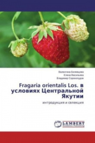 Kniha Fragaria orientalis Los. v usloviyah Central'noj Yakutii Valentina Belevcova