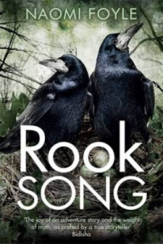 Книга Rook Song Naomi Foyle