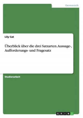 Buch UEberblick uber die drei Satzarten. Aussage-, Aufforderungs- und Fragesatz Lily Cat