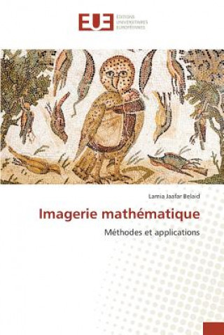 Kniha Imagerie Mathematique Belaid-L