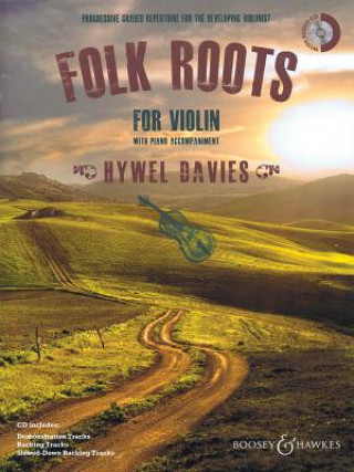 Könyv FOLK ROOTS FOR VIOLIN HYWEL DAVIES