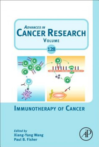 Kniha Immunotherapy of Cancer Xiang-Yang Wang