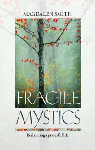 Livre Fragile Mystics Magdalen Smith