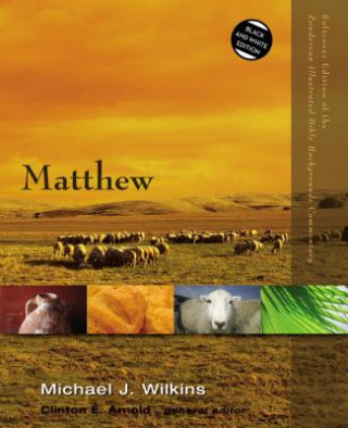 Kniha Matthew Michael J. Wilkins