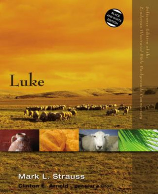 Livre Luke Mark L. Strauss