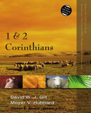 Könyv 1 and 2 Corinthians Moyer V. Hubbard