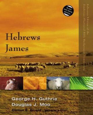 Könyv Hebrews, James Douglas J. Moo