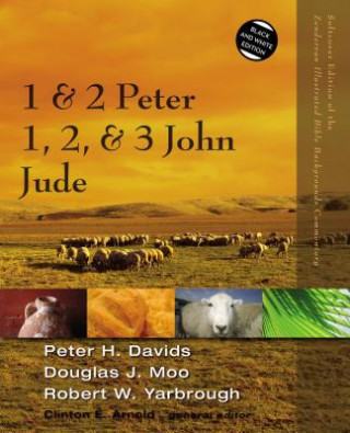 Książka 1 and 2 Peter, Jude, 1, 2, and 3 John Robert W. Yarbrough