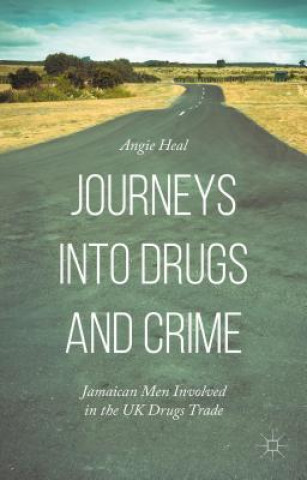 Könyv Journeys into Drugs and Crime Angie Heal