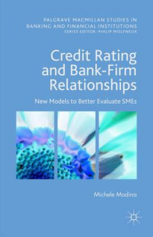Könyv Credit Rating and Bank-Firm Relationships Michele Modina