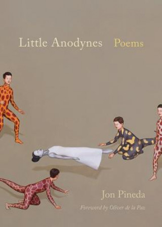 Книга Little Anodynes Jon Pineda