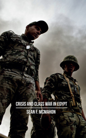 Kniha Crisis and Class War in Egypt Sean McMahon