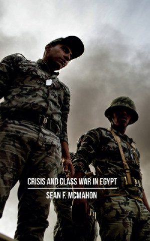 Knjiga Crisis and Class War in Egypt Sean McMahon