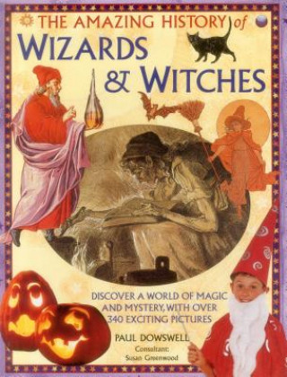 Book Amazing History of Wizards & Witches Susan Greenwood