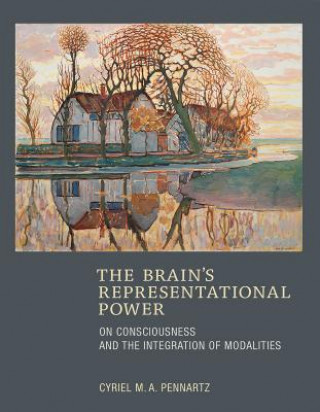 Carte Brain's Representational Power Cyriel M. A. Pennartz