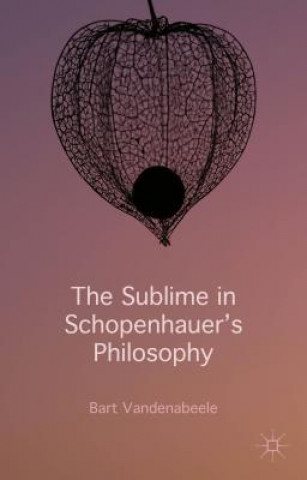 Könyv Sublime in Schopenhauer's Philosophy Bart Vandenabeele