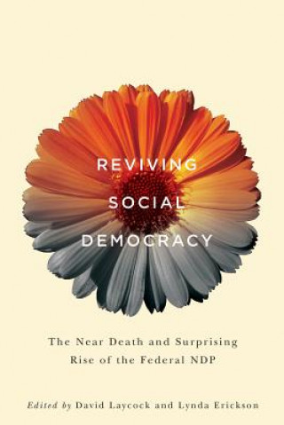 Kniha Reviving Social Democracy David Laycock