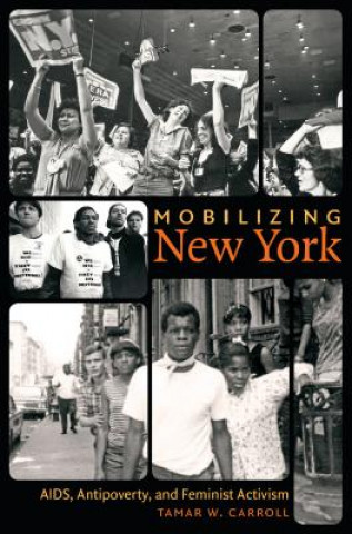 Könyv Mobilizing New York Tamar W. Carroll