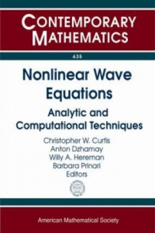 Buch Nonlinear Wave Equations 