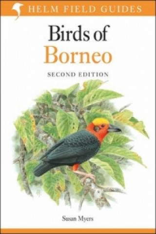 Carte Birds of Borneo Susan Myers