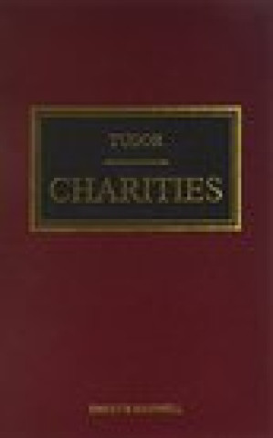 Kniha Tudor on Charities N.F. Riddle