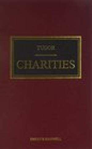 Knjiga Tudor on Charities N.F. Riddle