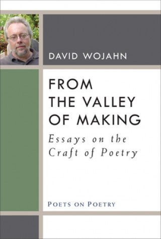 Kniha From the Valley of Making David Wojahn