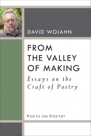 Книга From the Valley of Making David Wojahn