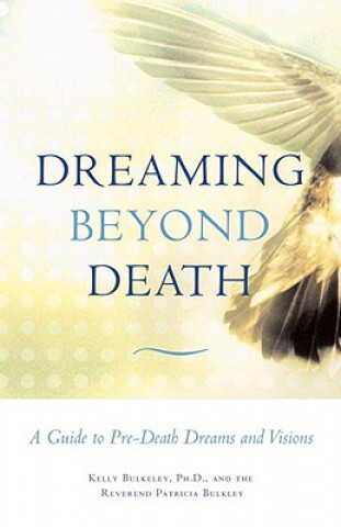 Knjiga Dreaming Beyond Death Professor Patricia Bulkley