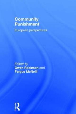 Kniha Community Punishment Gwen Robinson
