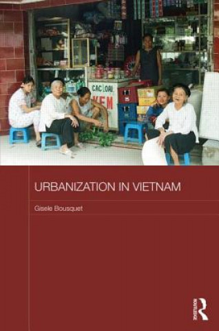 Könyv Urbanization in Vietnam Gisele Bousquet