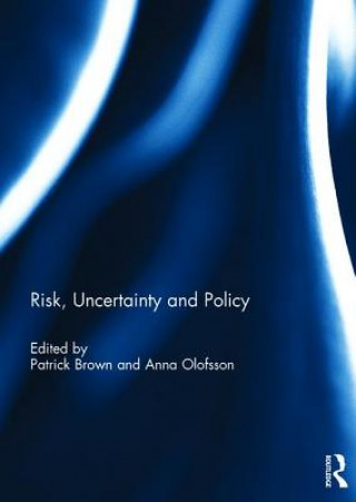Kniha Risk, Uncertainty and Policy 
